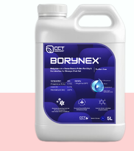 Borynex foliar fertilizer